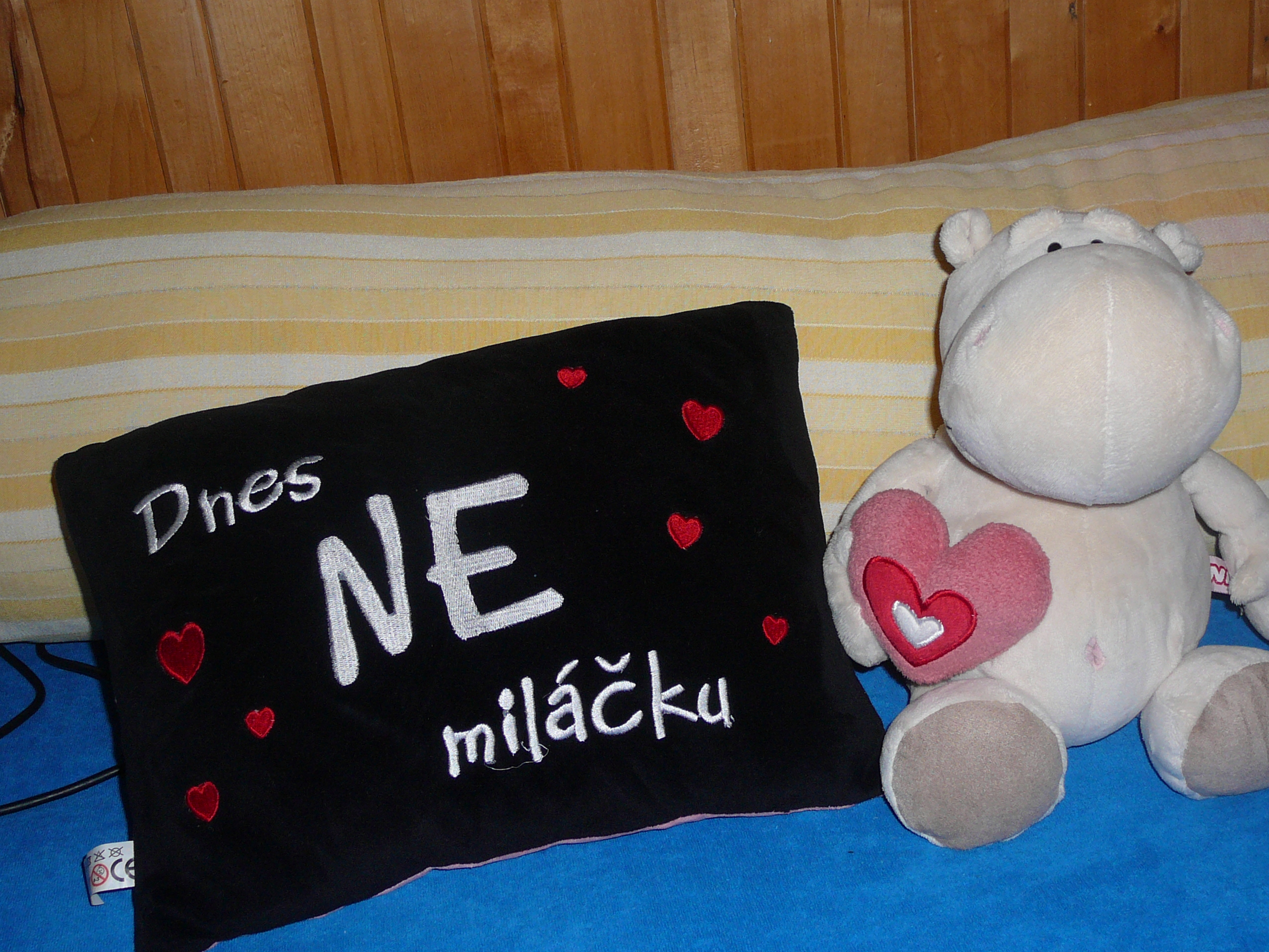 P1000401.JPG