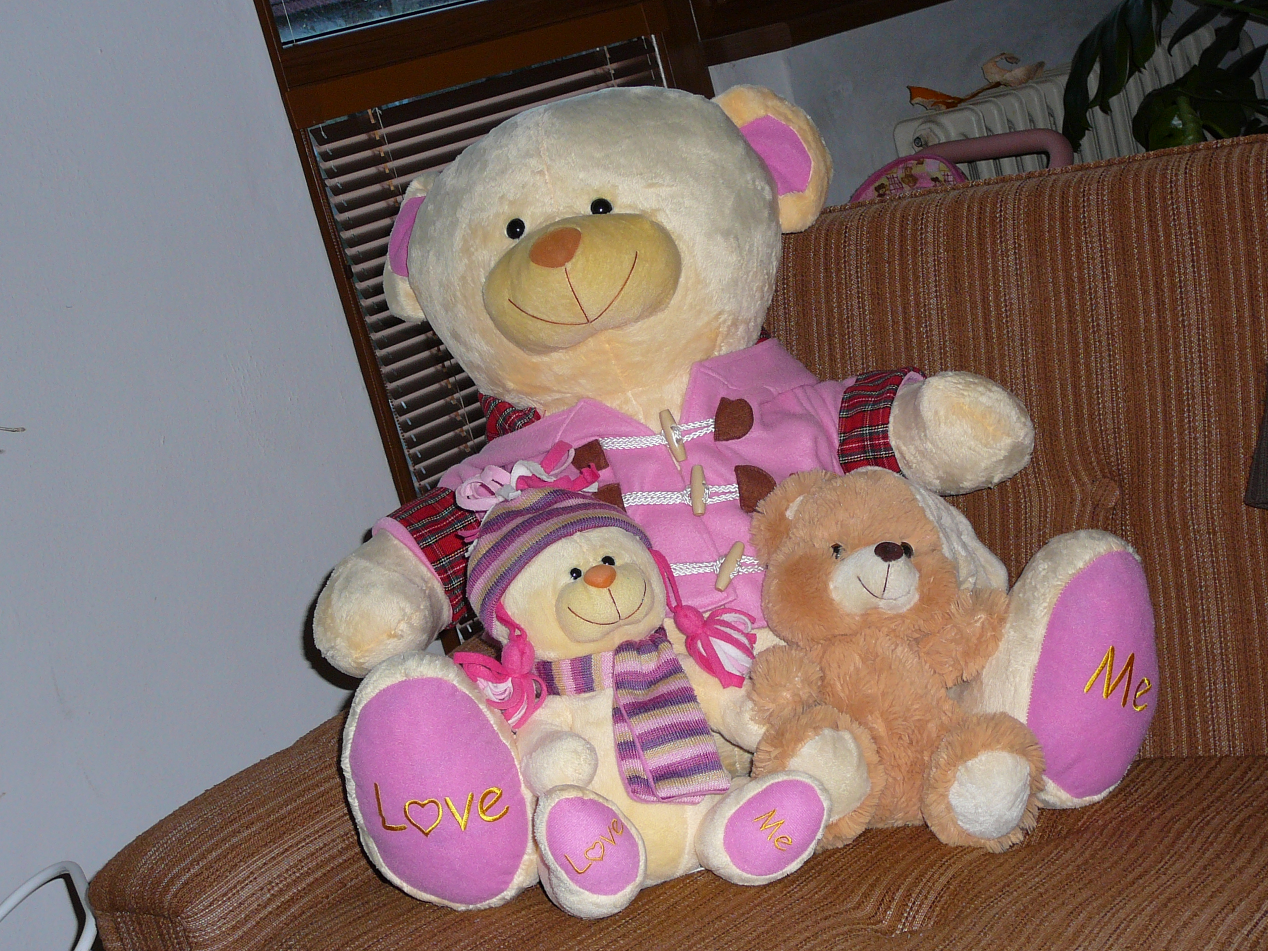 P1000045.JPG